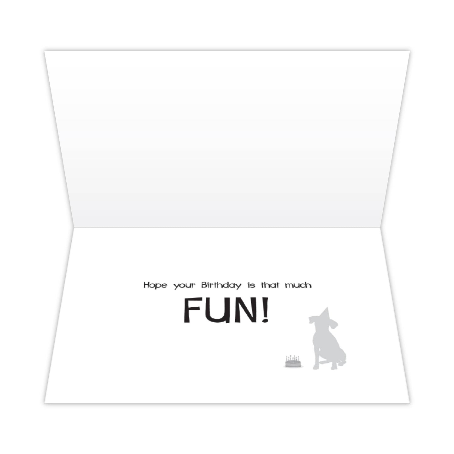 Greeting Card - Birthday: So Much Fun