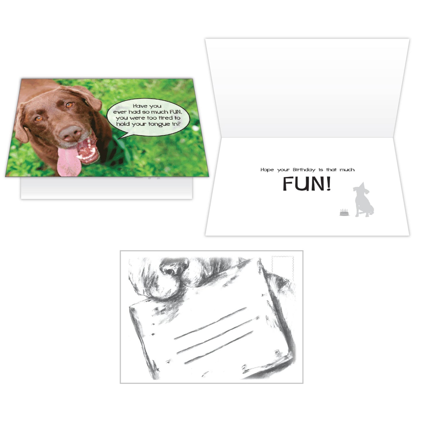 Greeting Card - Birthday: So Much Fun