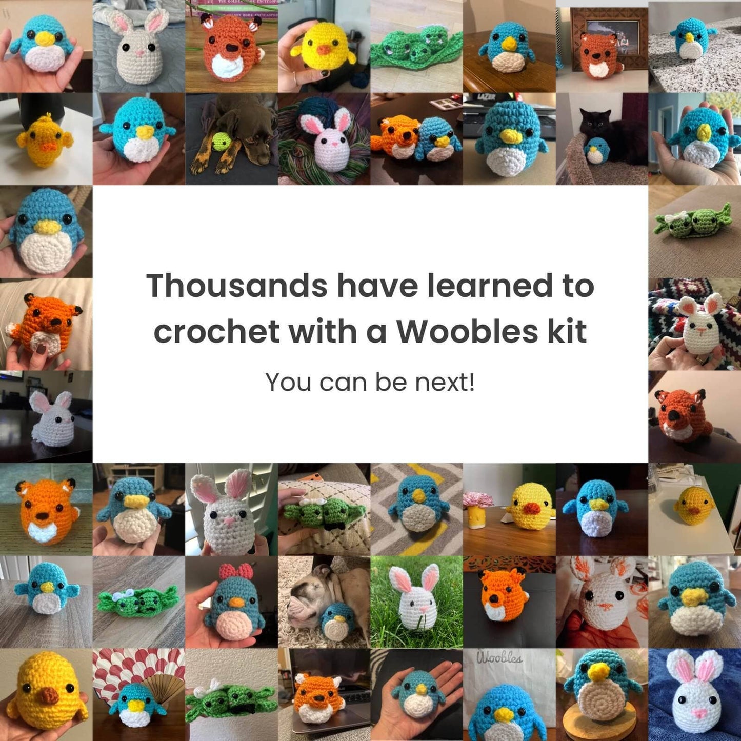 The Woobles - Pierre the Penguin - Beginner Crochet Kit